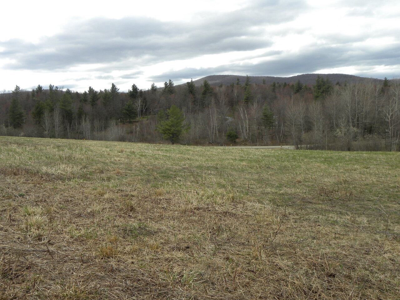 Lot 3 Weaver Road Huntington, VT 05462 - Photo 4 of 10 Gallery Image 4