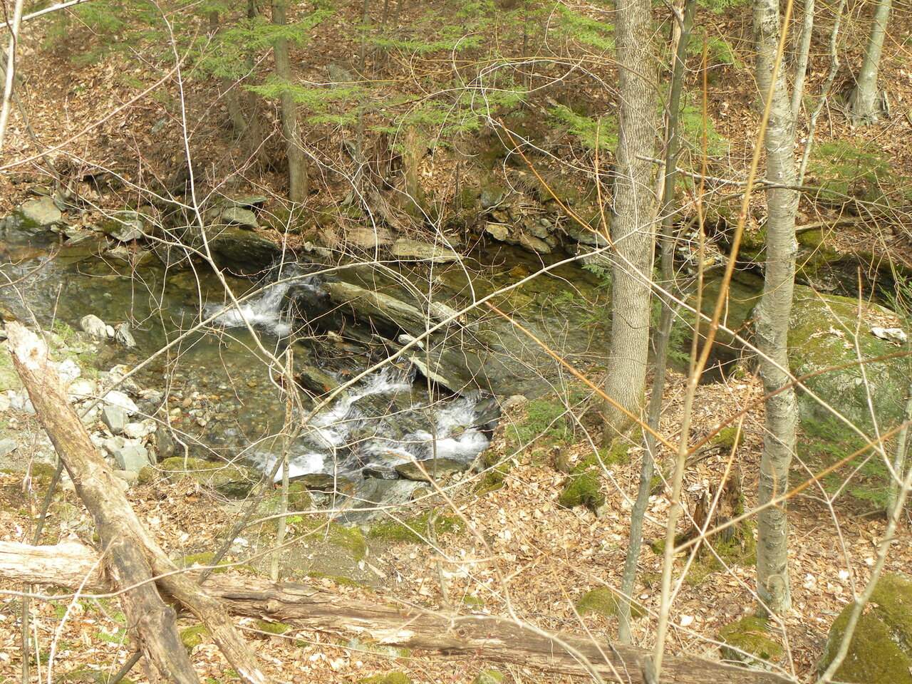 Lot 3 Weaver Road Huntington, VT 05462 - Photo 5 of 10 Gallery Image 5