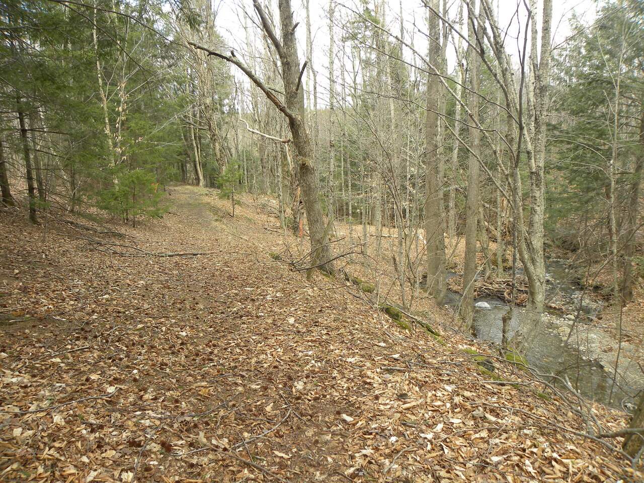 Lot 3 Weaver Road Huntington, VT 05462 - Photo 6 of 10 Gallery Image 6