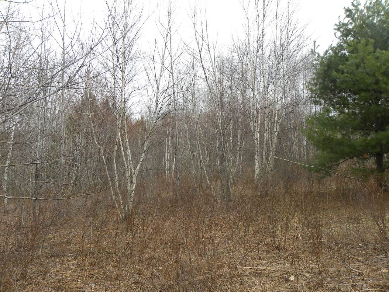 Lot 3 Weaver Road Huntington, VT 05462 - Photo 7 of 10 Gallery Image 7