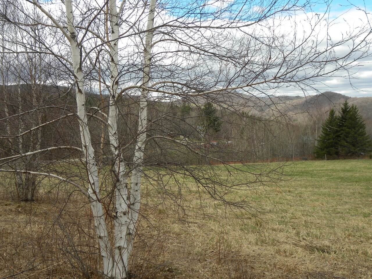 Lot 3 Weaver Road Huntington, VT 05462 - Photo 10 of 10 Gallery Image 10