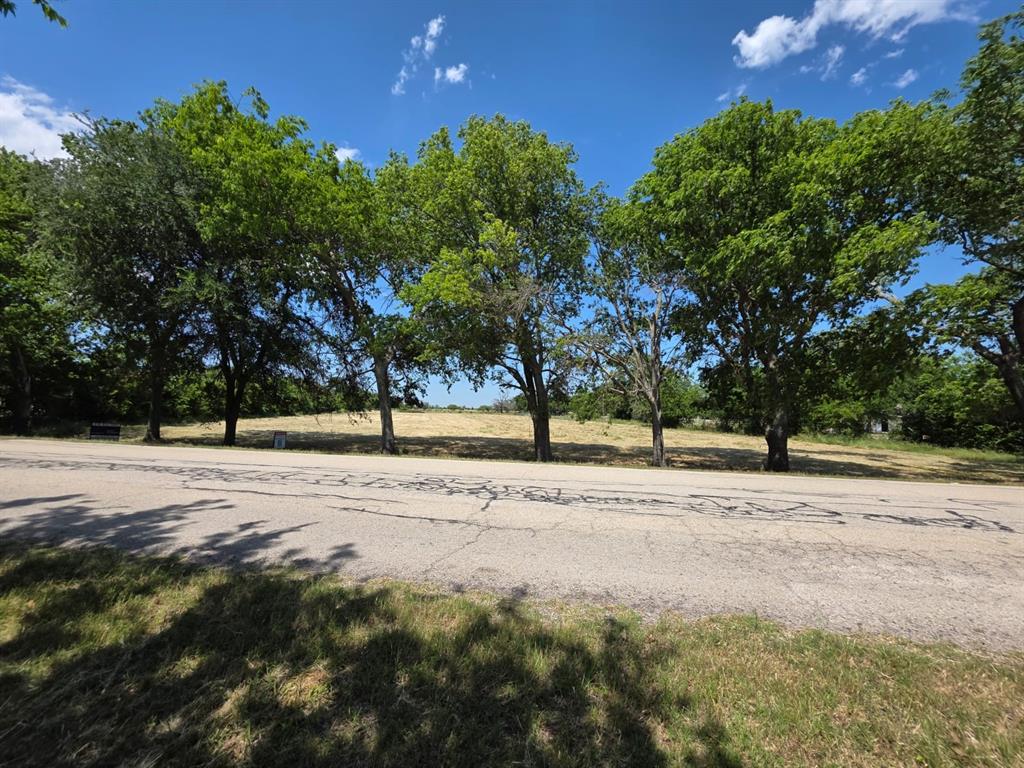 a view of road space with yard and trees