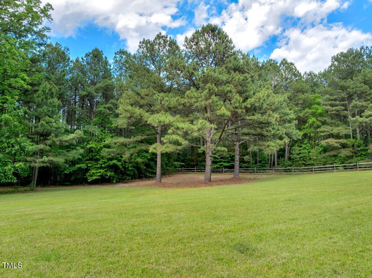 1.95-acres Buchanan Road Manson, NC 27553 - Photo 8 of 15 Buchanan Front Field