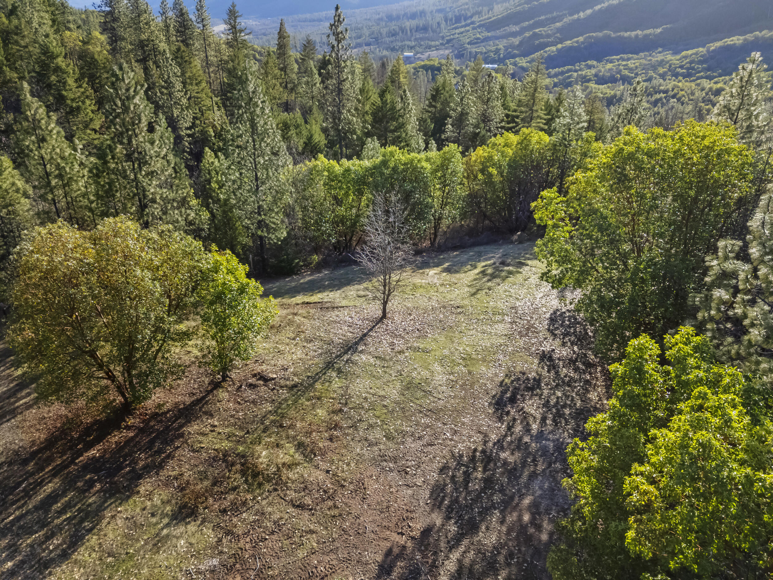 11376 Ramsey Road Gold Hill, OR 97525 - Photo 13 of 64 77_11376 ramsey road - drone - 09