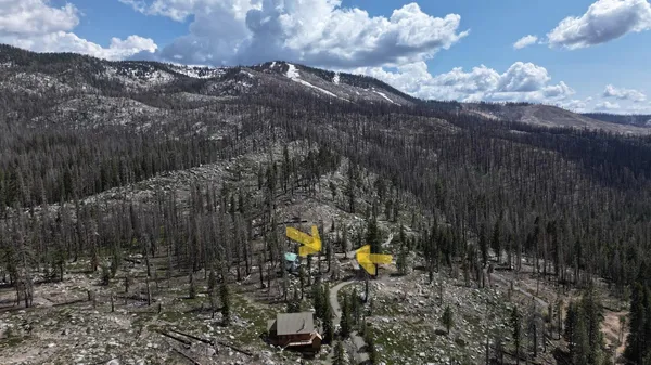 a view of a park with iron fence