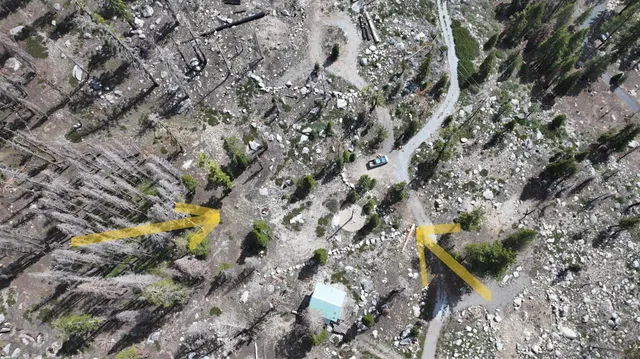 a view of a yard with plants