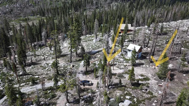 a view of a tree with a tree