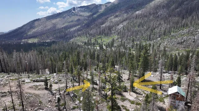 a view of swimming pool with a yard