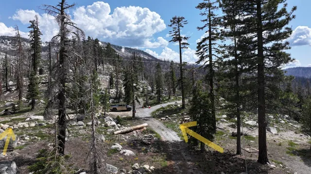 a view of outdoor space with lots of trees