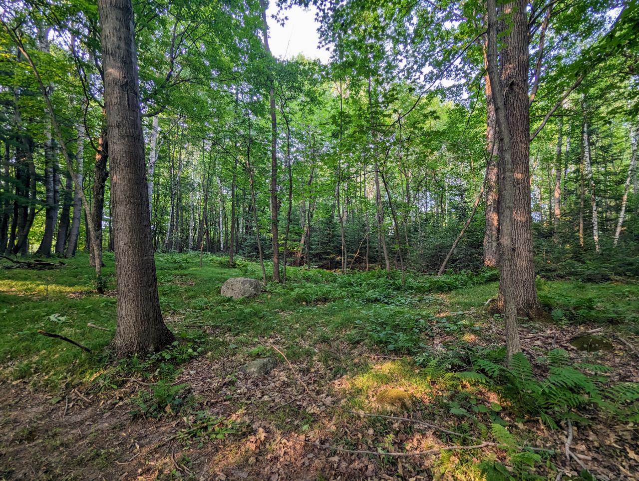 W6939 Dama Road Phillips, WI 54555 - Photo 16 of 23 Gallery Image 16