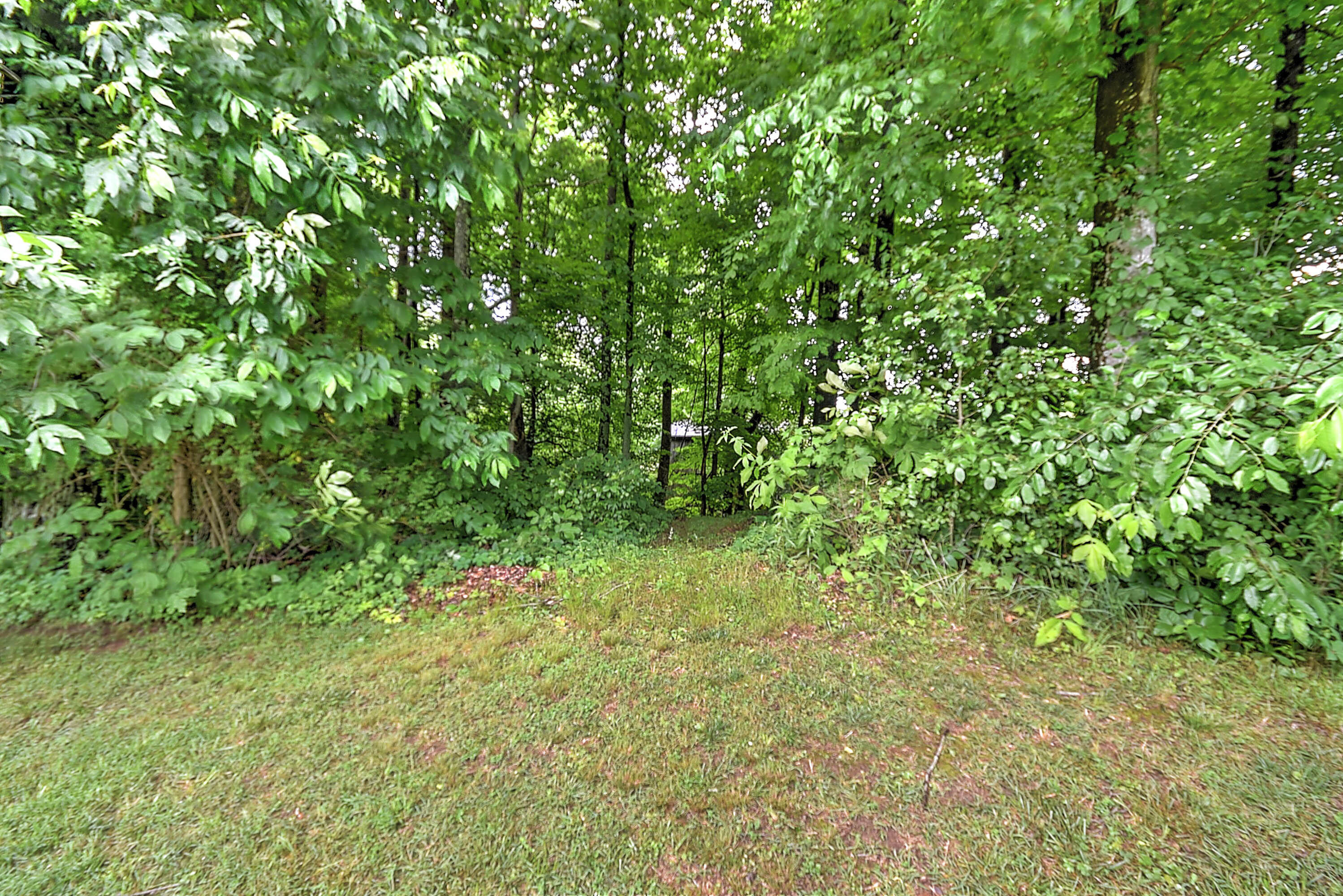 853 Island Road Blountville, TN 37617 - Photo 46 of 48 Island Rd-8