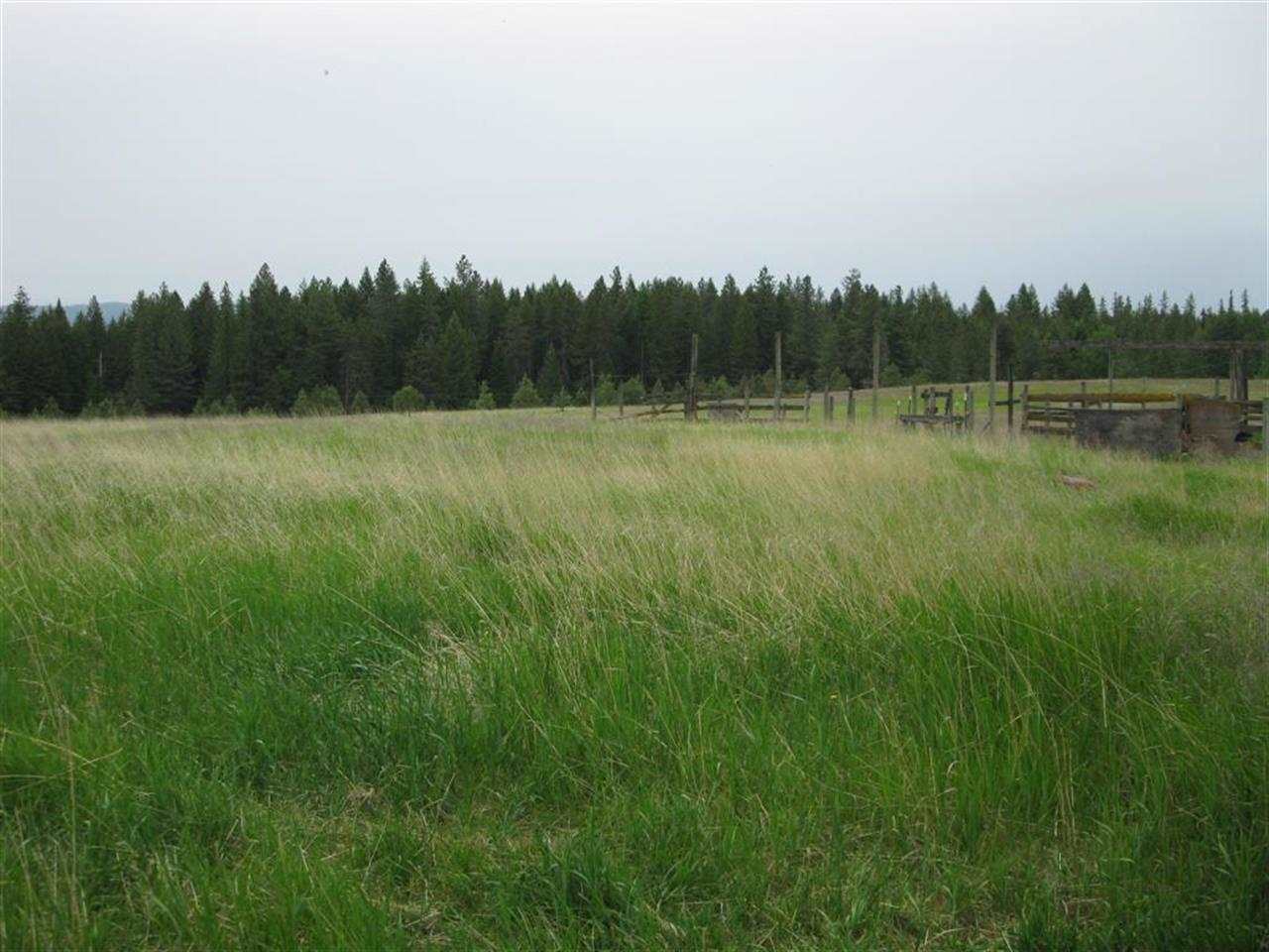 4353 Lyons Hill Road Springdale, WA 99173 - Photo 16 of 17