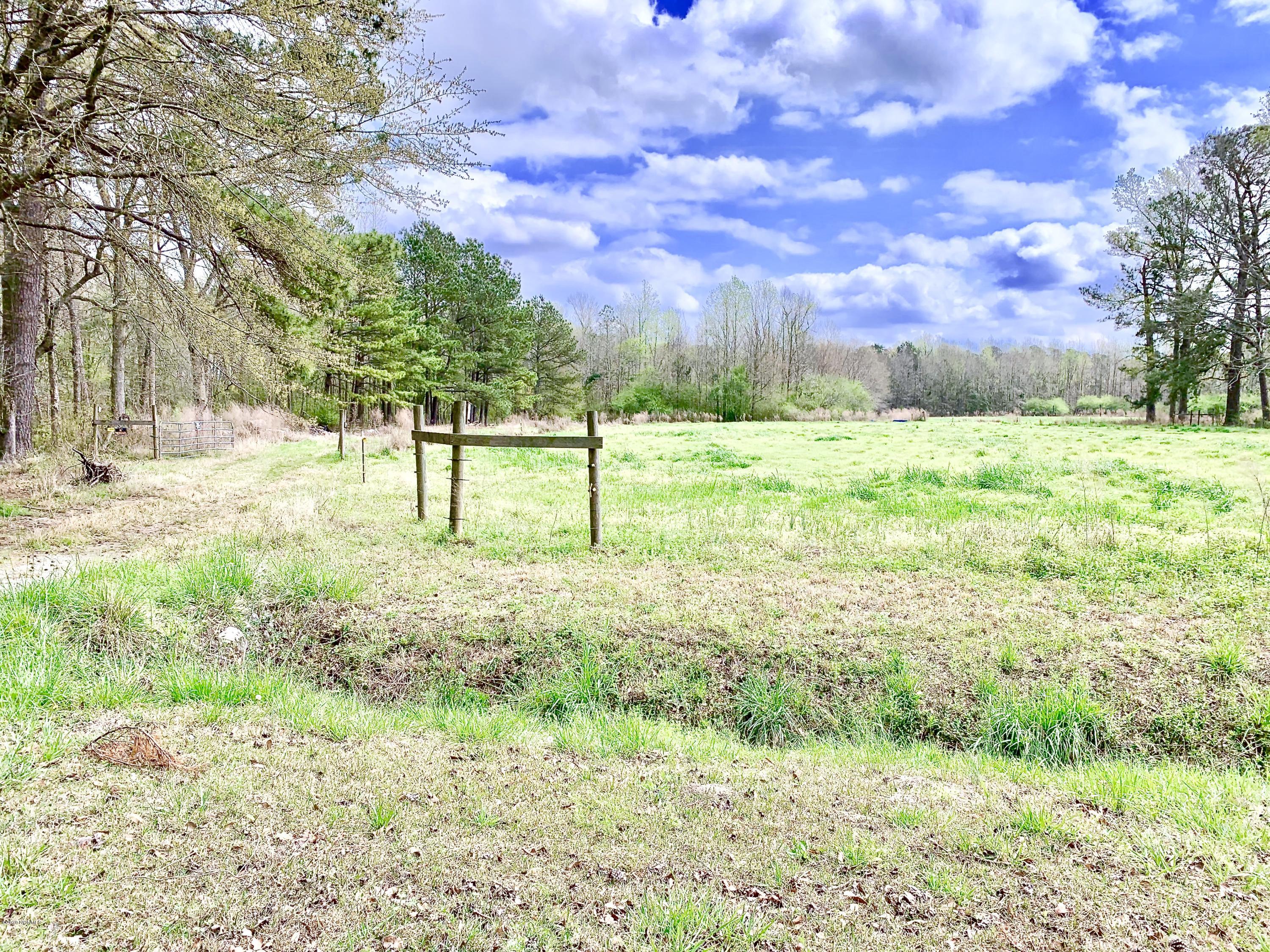 0 Lake Road Watha, NC 28478 - Photo 1 of 6 fullsizeoutput_328f