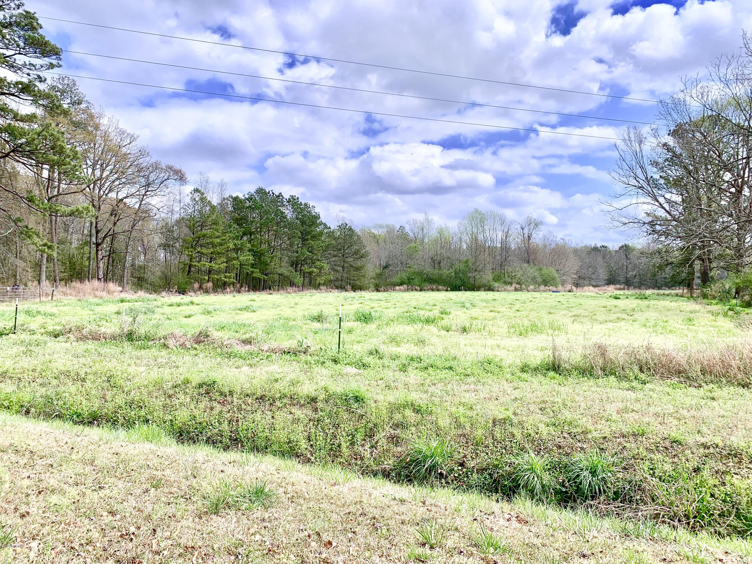 0 Lake Road Watha, NC 28478 - Photo 2 of 6 fullsizeoutput_328e