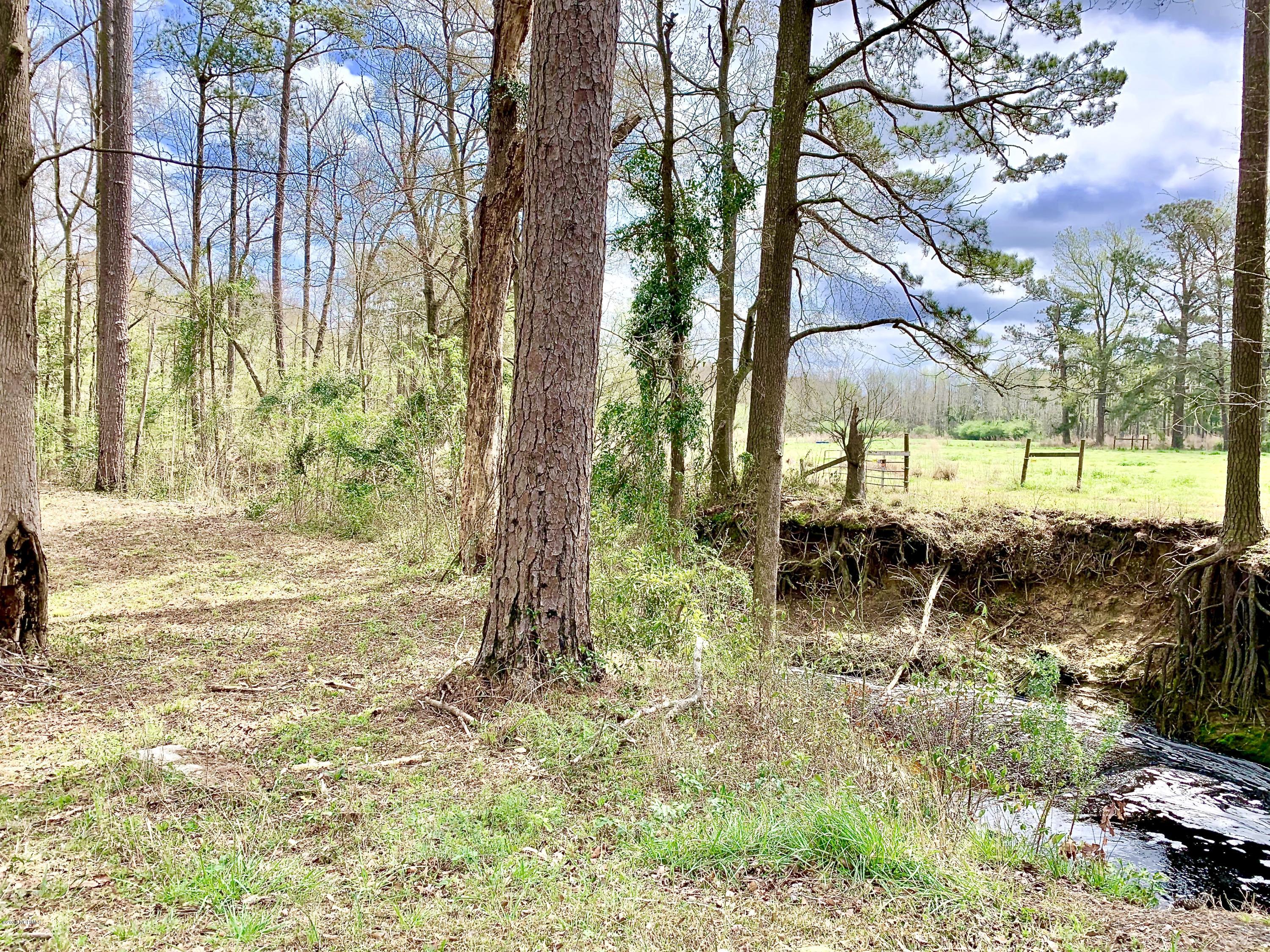 0 Lake Road Watha, NC 28478 - Photo 4 of 6 fullsizeoutput_3291