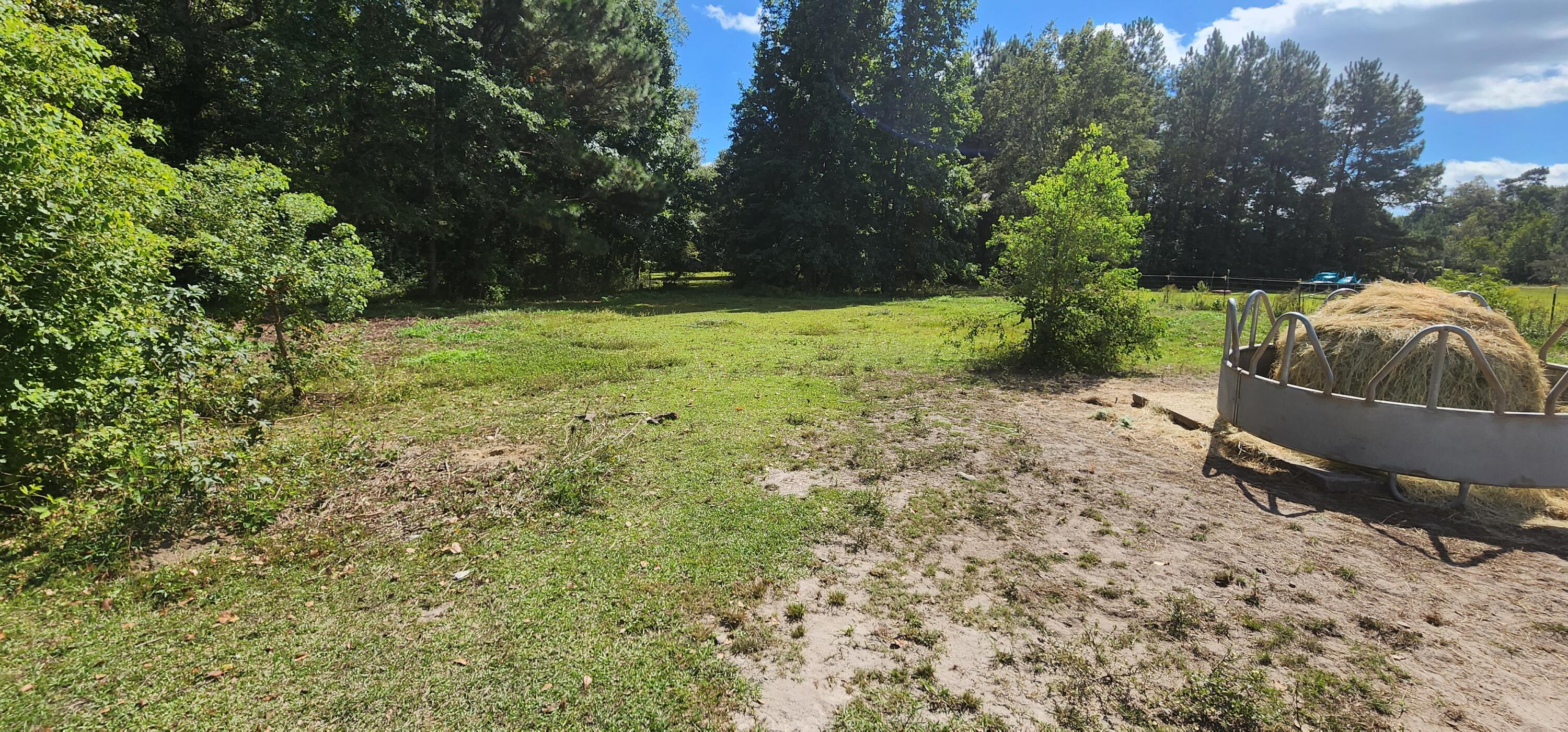 3476 Wesley Grove Road Cottageville, SC 29435 - Photo 36 of 43 20231007_130130