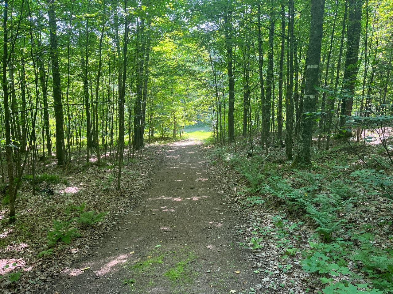 7630 Frontier Road Presque Isle, WI 54557 - Photo 33 of 44 Gallery Image 33