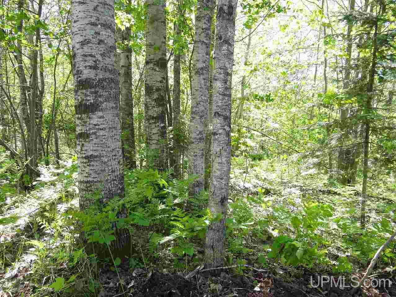 19896 Point Abbaye Road Lanse, MI 49946 - Photo 13 of 31 Gallery Image 13
