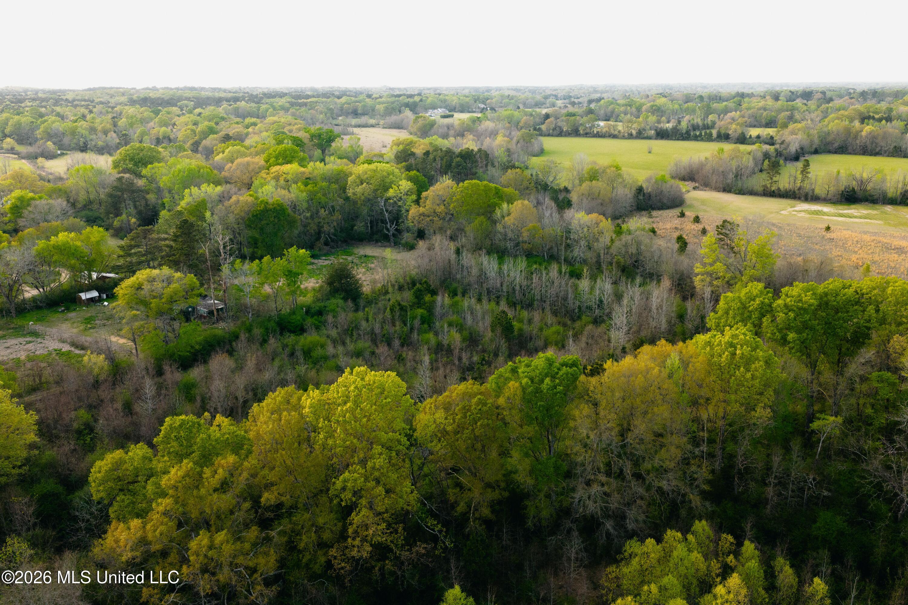 1844 Volley Campbell Road Terry, MS 39170 - Photo 57 of 81 DJI_20260324072726_0239_D