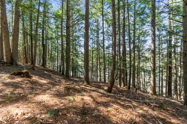 $645,000 | 569 Middle Road, Dresden, ME 04342