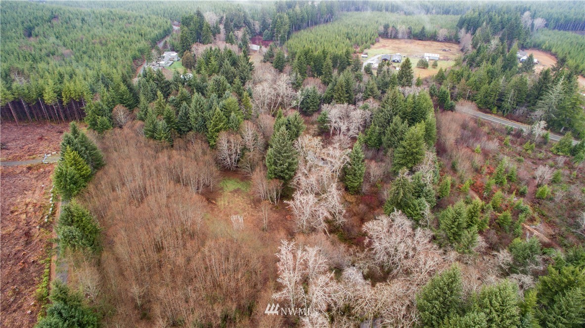 0 Chenois Valley Road Hoquiam, WA 98550 - Photo 2 of 5 Gallery Image 2