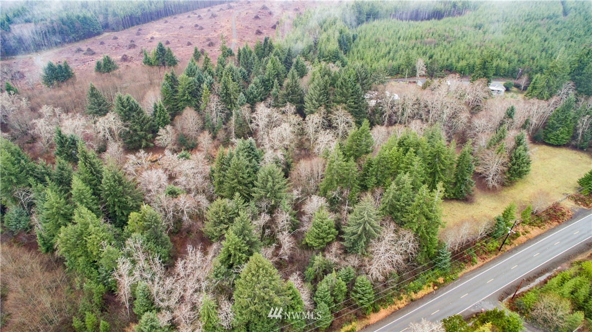 0 Chenois Valley Road Hoquiam, WA 98550 - Photo 4 of 5 Gallery Image 4