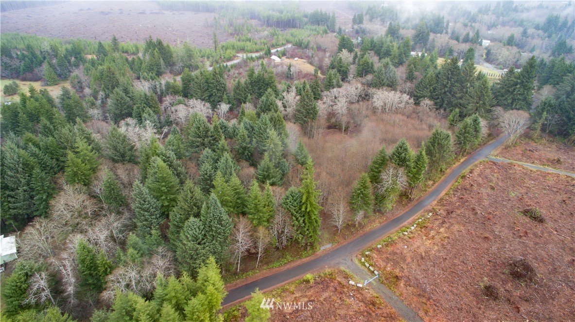 0 Chenois Valley Road Hoquiam, WA 98550 - Photo 5 of 5 Gallery Image 5