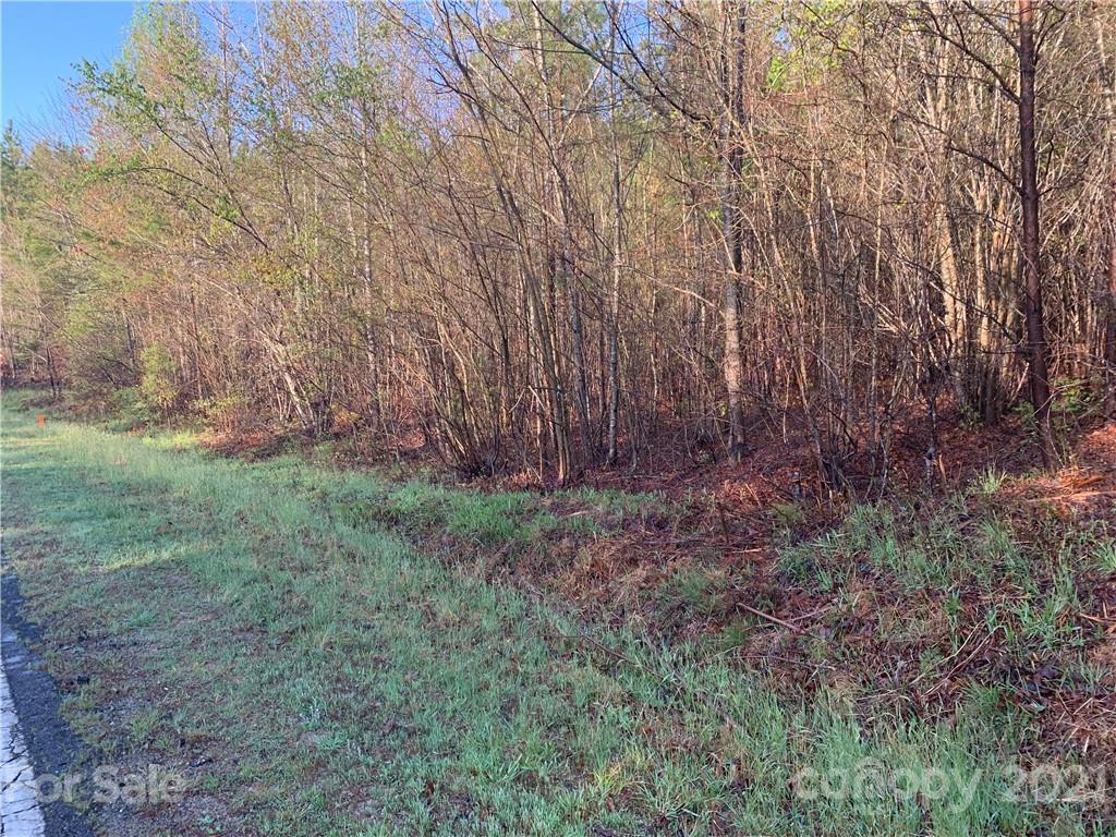 999 Green River Cove Road, Unit 15 Mill Spring, NC 28756 - Photo 1 of 3 a view of a yard with large trees