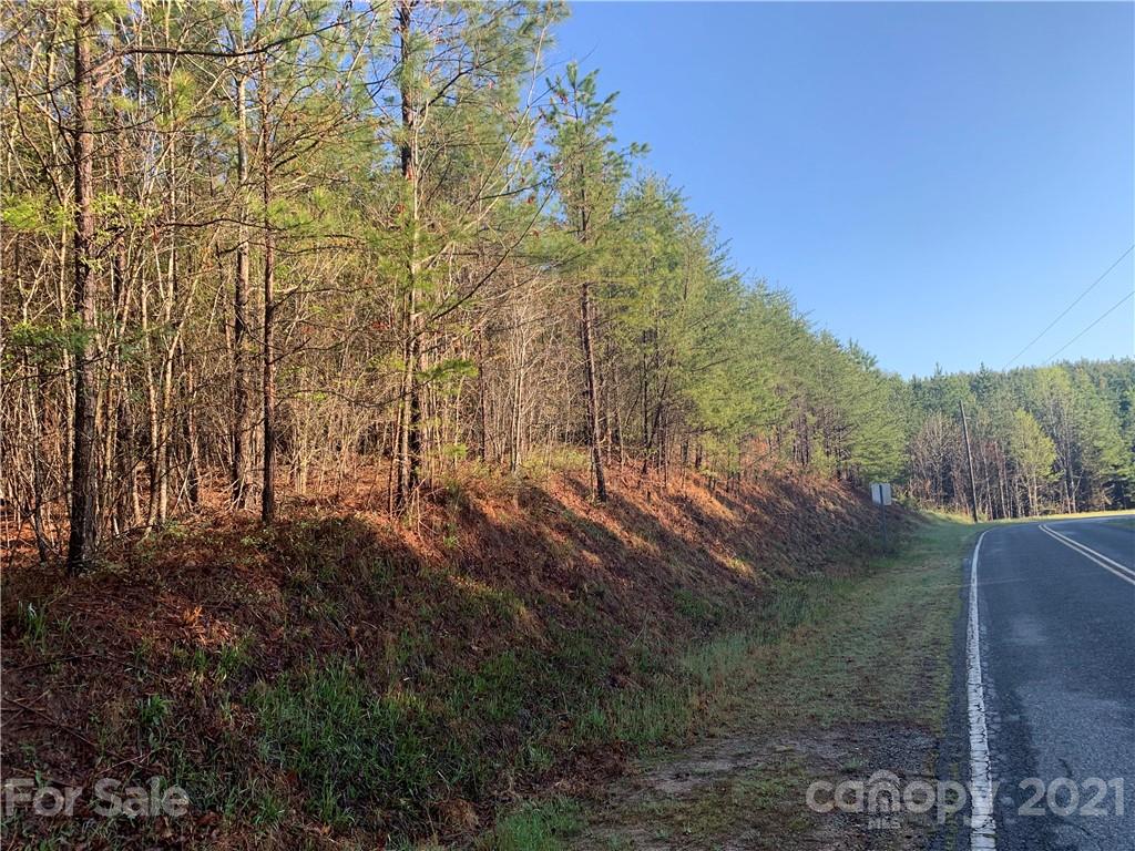 999 Green River Cove Road, Unit 15 Mill Spring, NC 28756 - Photo 2 of 3 a view of a yard with large trees