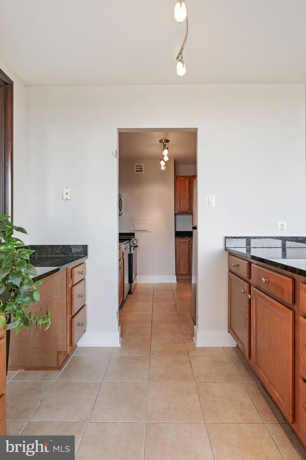 1220 Blair Mill Road, Unit 1101 Silver Spring, MD 20910 - Photo 19 of 39