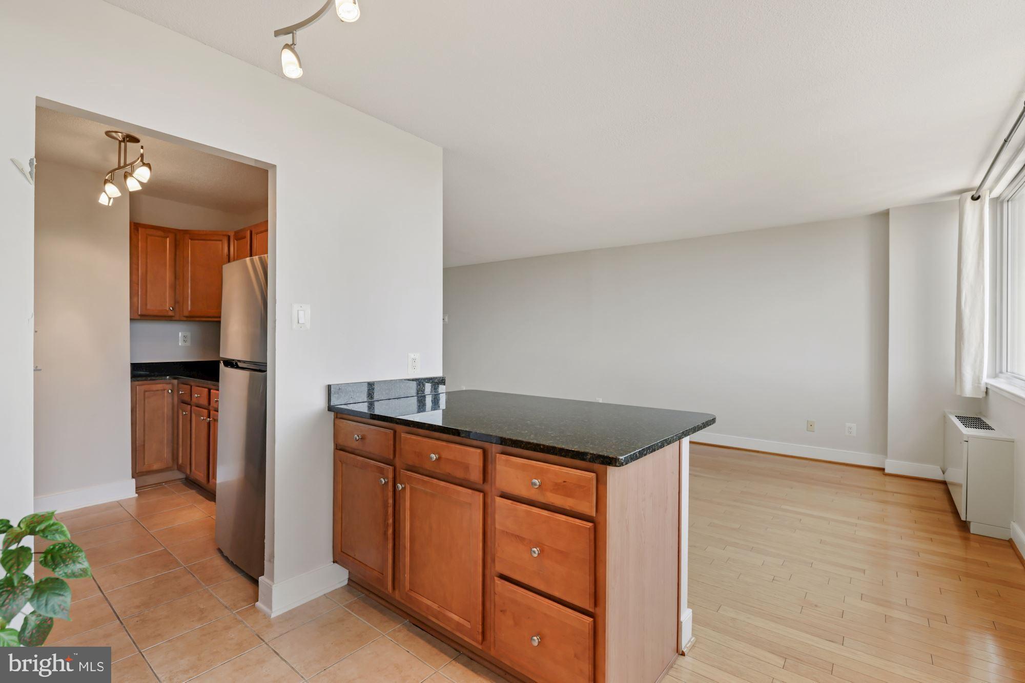1220 Blair Mill Road, Unit 1101 Silver Spring, MD 20910 - Photo 4 of 39