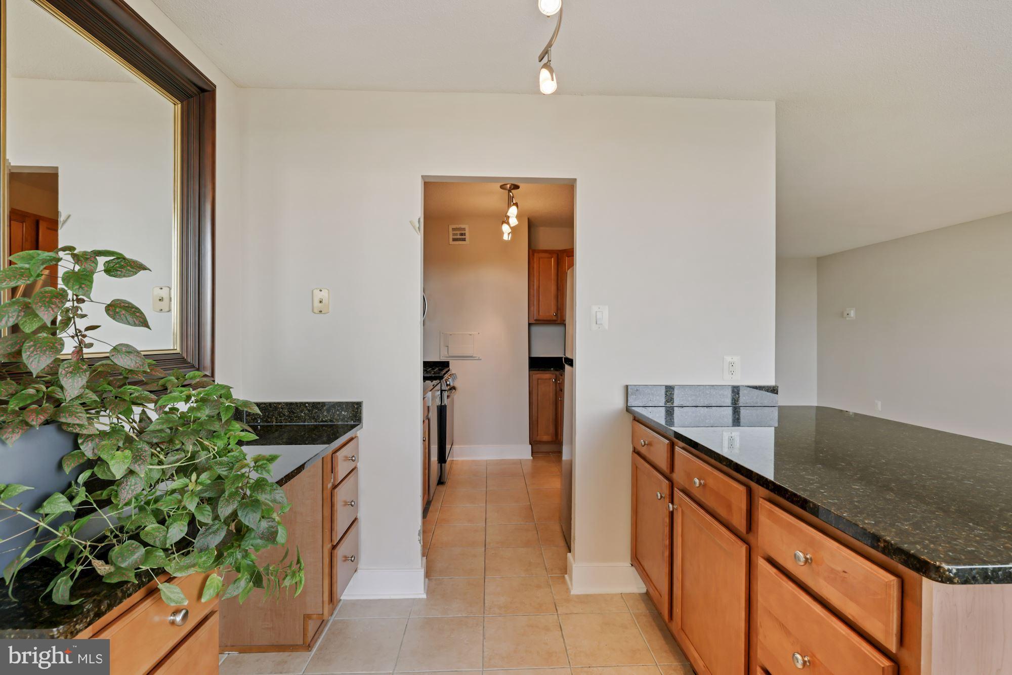 1220 Blair Mill Road, Unit 1101 Silver Spring, MD 20910 - Photo 5 of 39