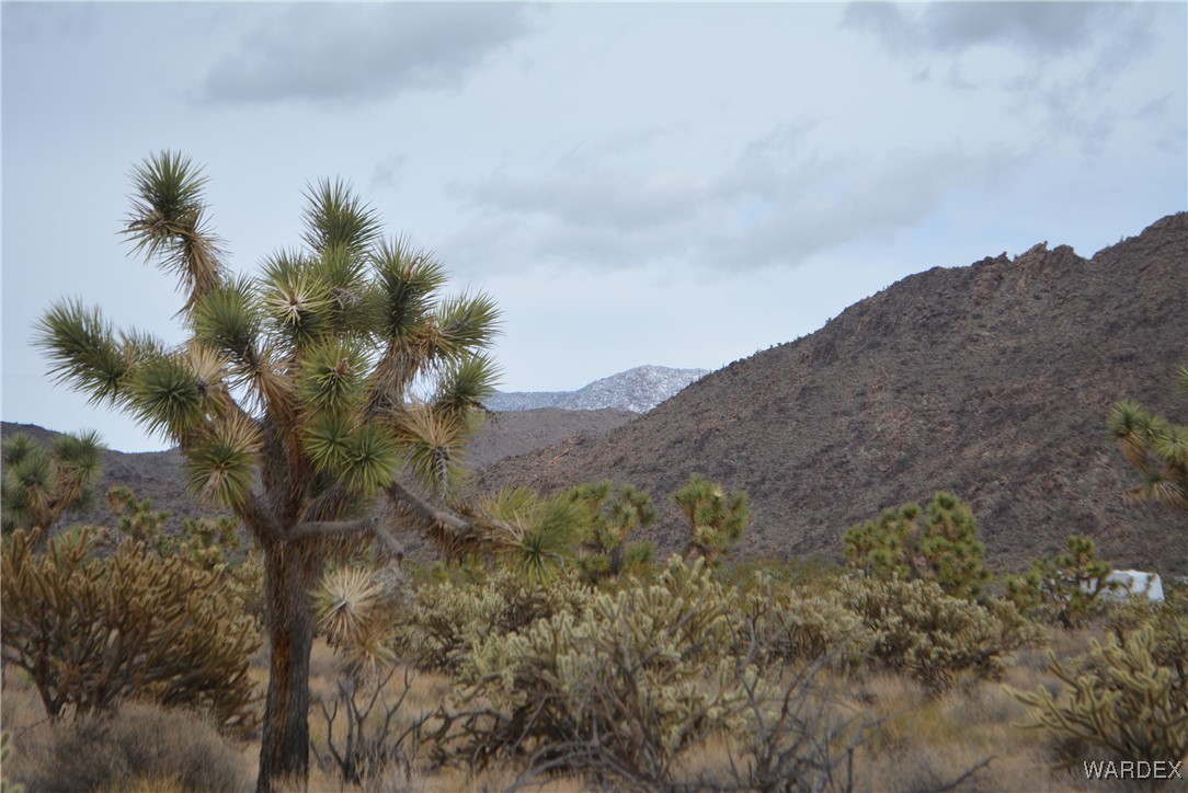 11900 Alan Road Yucca, AZ 86438 - Photo 44 of 99 Gallery Image 44