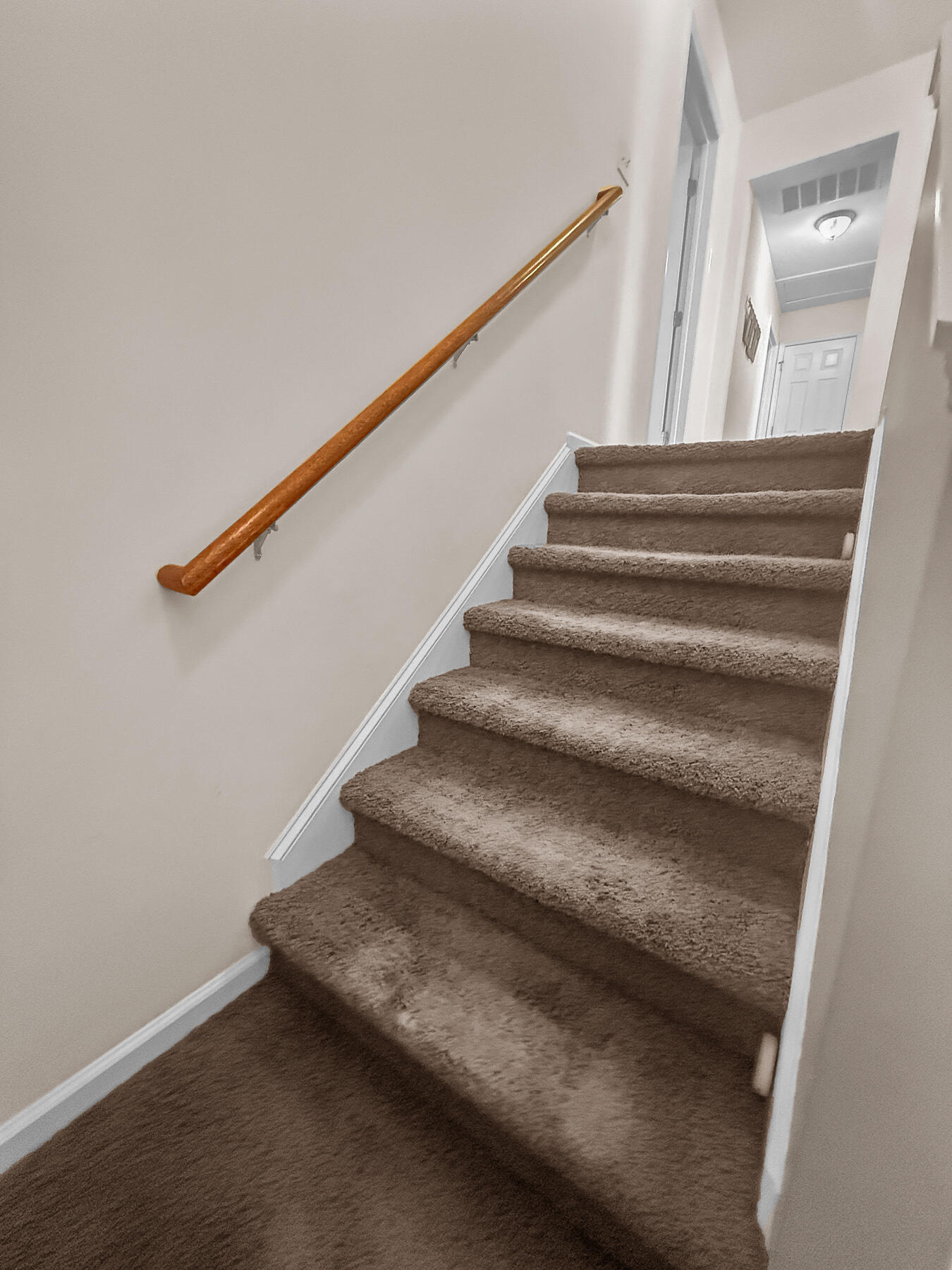 346 Cicadas Song Drive Moncks Corner, SC 29461 - Photo 42 of 92 1000025509