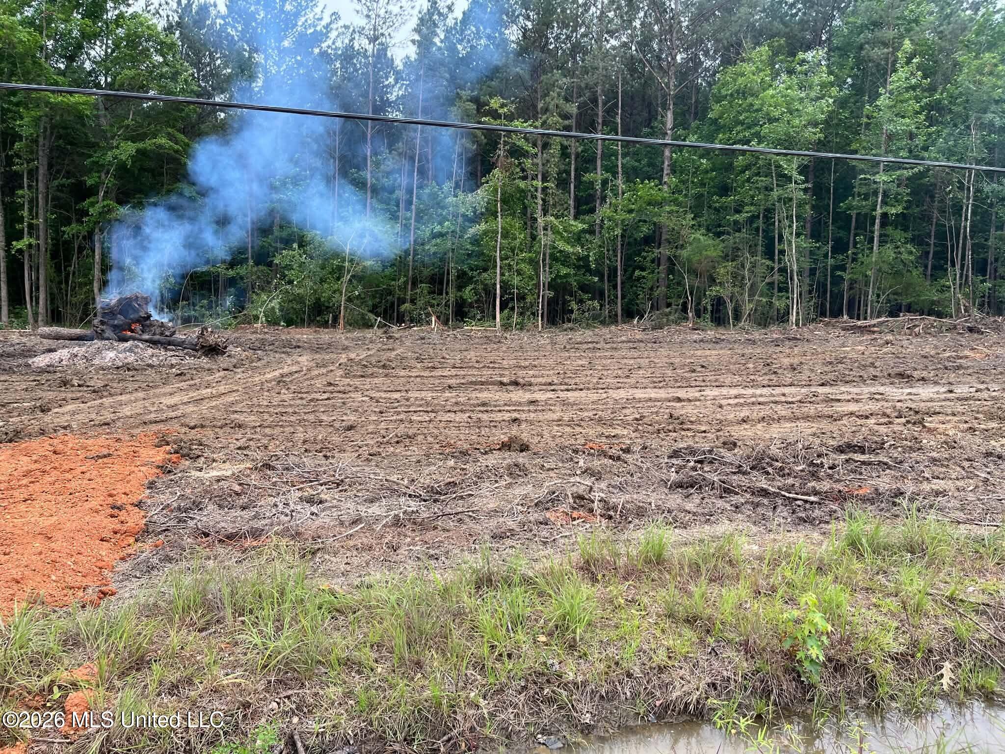 715 Old Pinola Braxton Road Braxton, MS 39044 - Photo 8 of 8 be2dd98b-e344-4234-8dfd-b5c95292b1dc