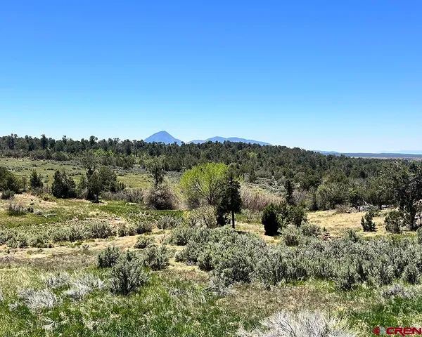 a view of a dry top yard
