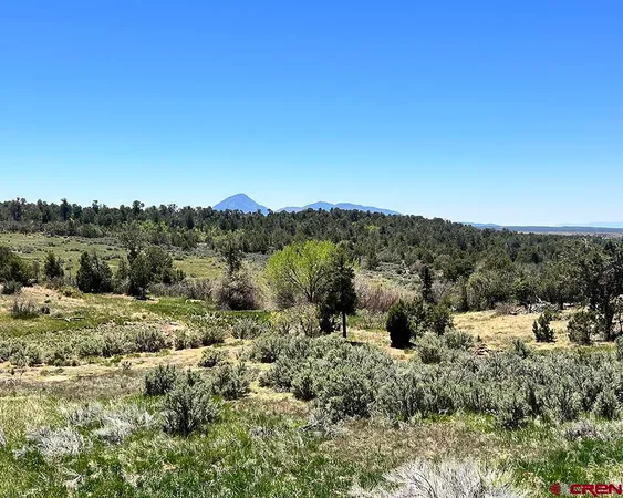 $650,000 | 14495 Road W Yellow Jacket Co 81335, Yellow Jacket, CO 81335