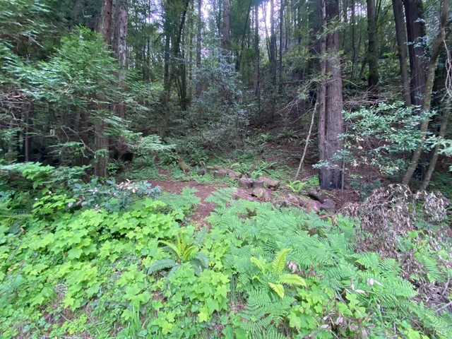a backyard of a house with lots of green space