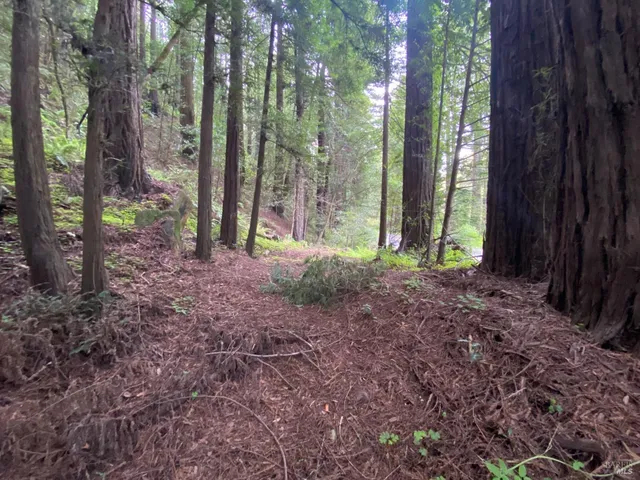 a view of outdoor space and green space