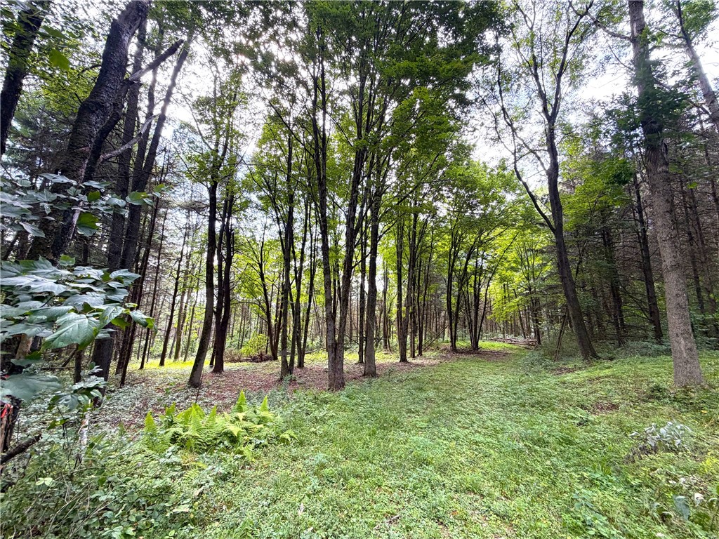 2 Dutton Loop Cuba, NY 14727 - Photo 1 of 16 Gallery Image 1