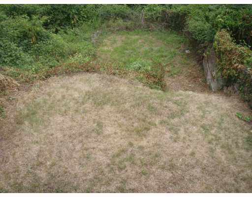 3446 Frazier Street Pittsburgh, PA 15213 - Photo 11 of 18 Yard/Garden. Large backyard, partially level.