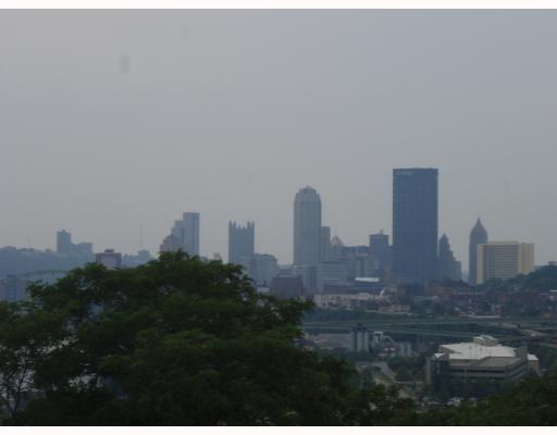 3446 Frazier Street Pittsburgh, PA 15213 - Photo 18 of 18 View. Fabulous skyline view.