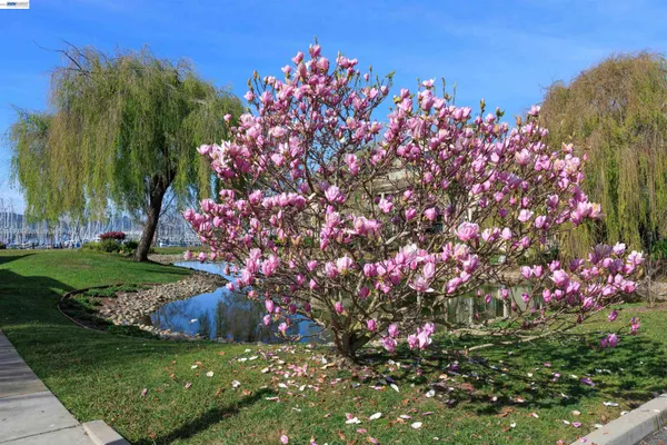 $459,000 | 130 Lakeshore Court, Richmond, CA 94804