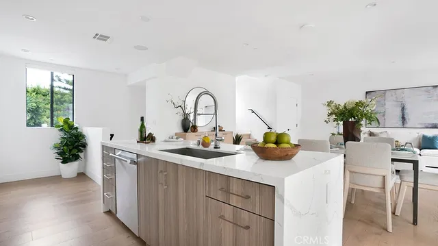 a kitchen with a sink and potted plant