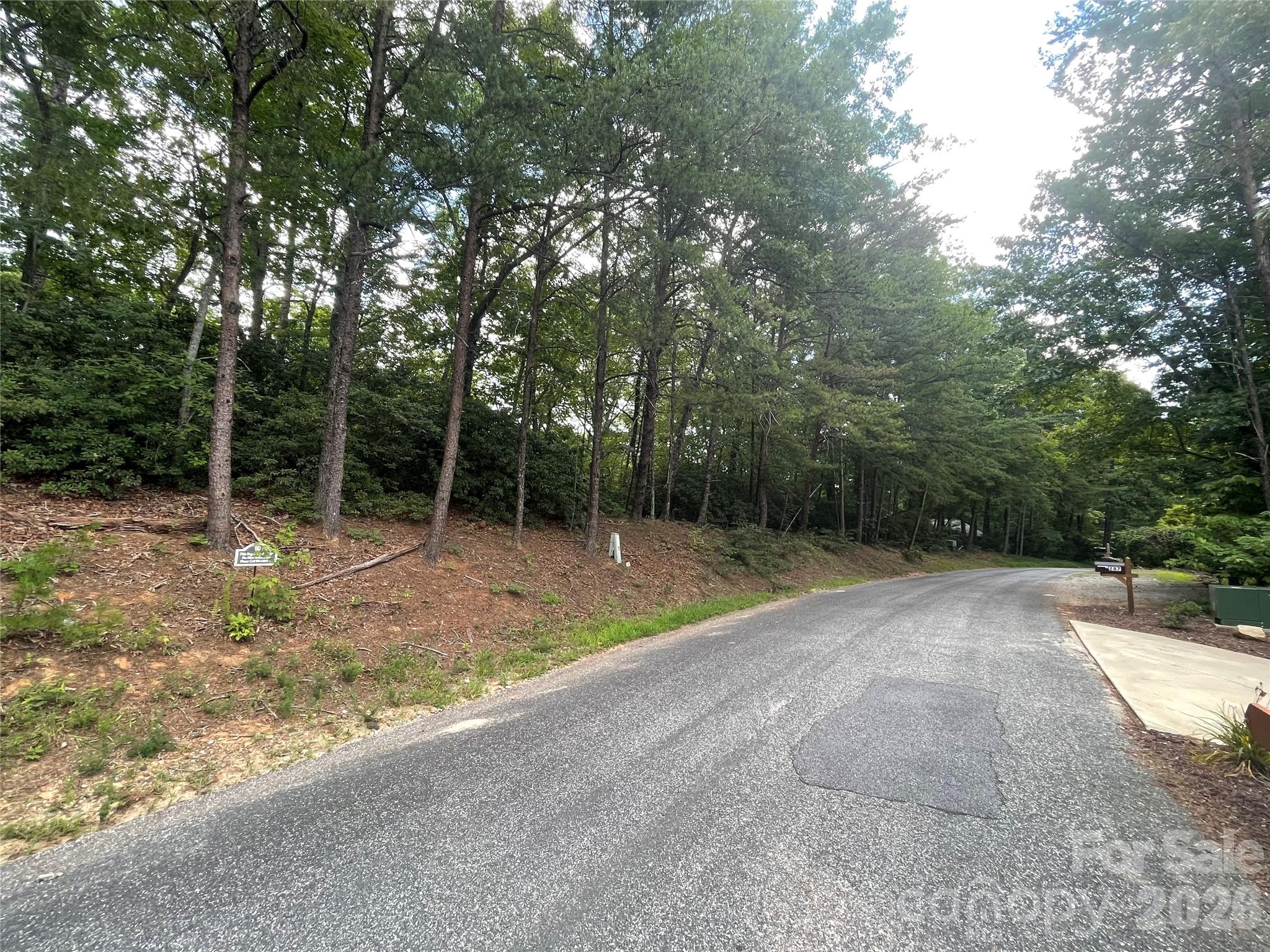282 Quail Ridge Road Lake Lure, NC 28746 - Photo 5 of 5