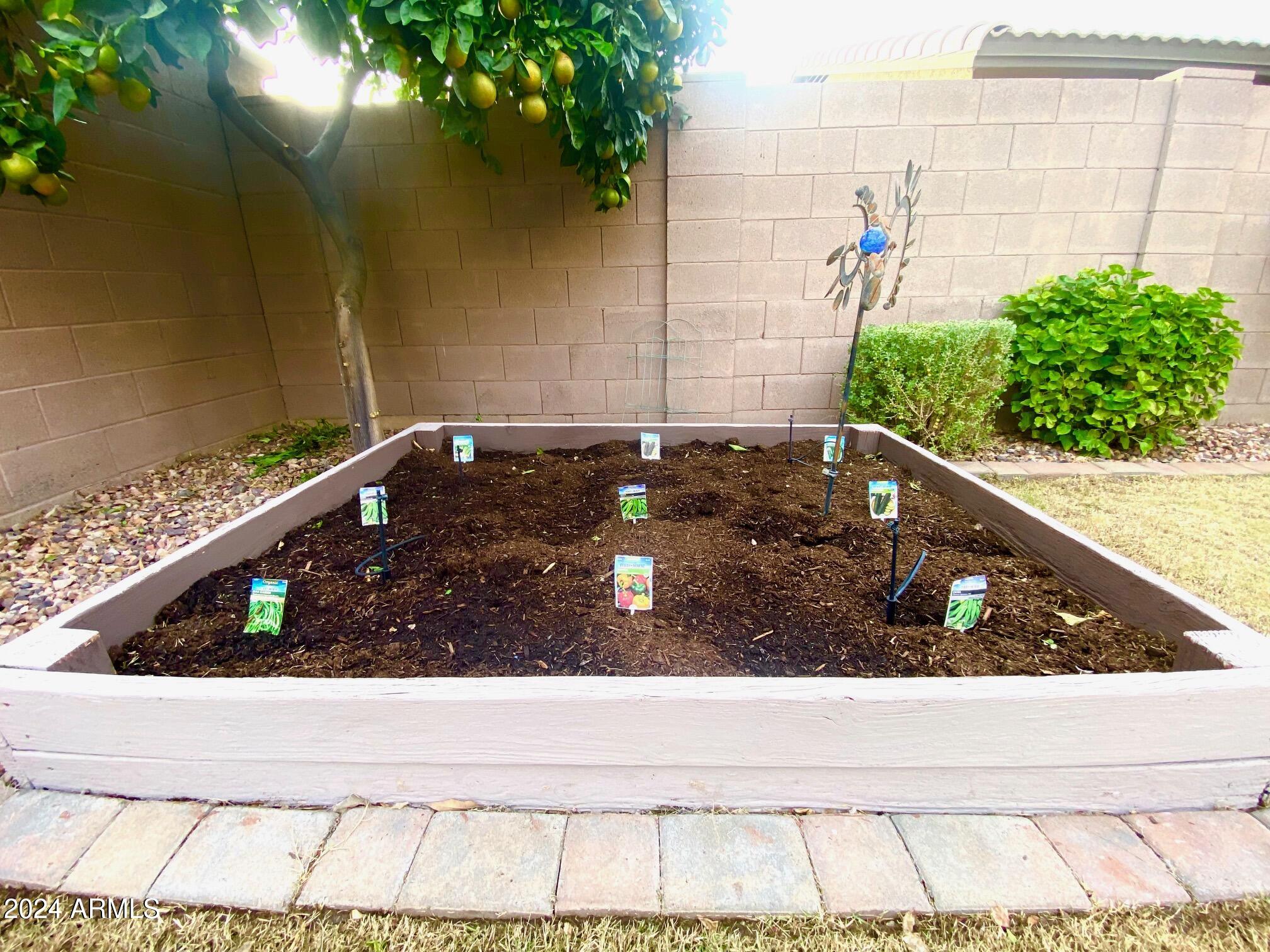 2605 West Florentine Road Phoenix, AZ 85086 - Photo 24 of 45 Enjoy your garden.
