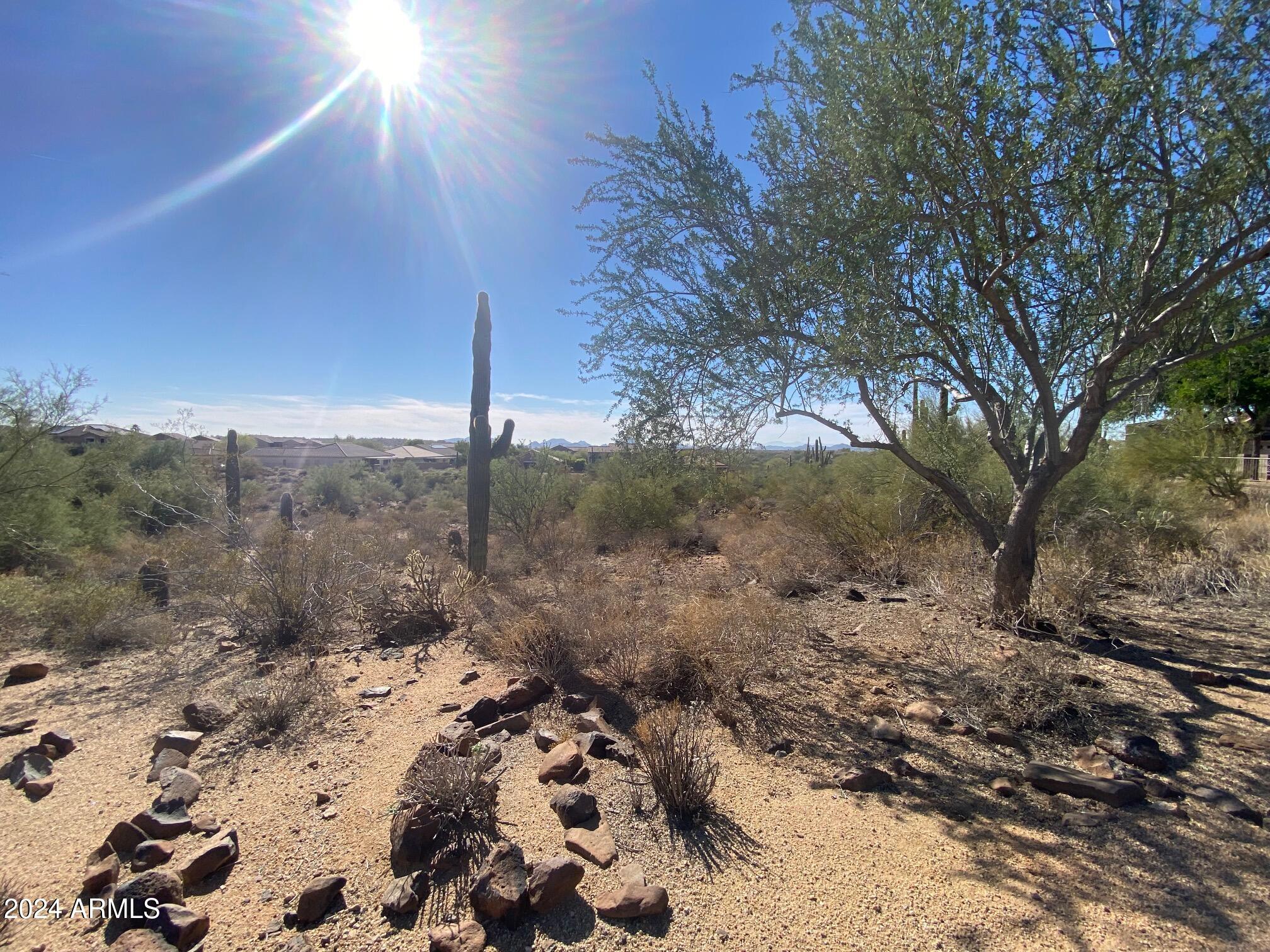 2605 West Florentine Road Phoenix, AZ 85086 - Photo 41 of 45 Community Park Views