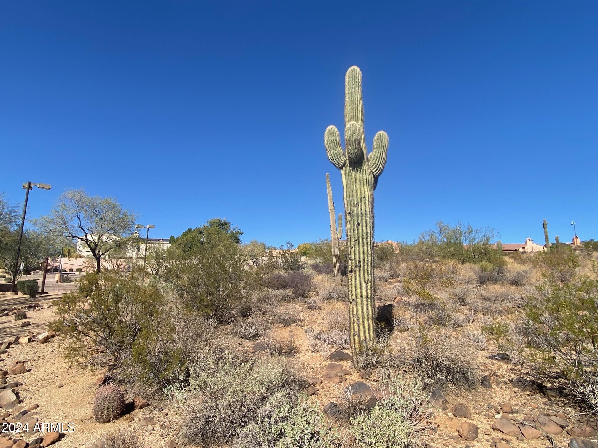 2605 West Florentine Road Phoenix, AZ 85086 - Photo 42 of 45 Community Park Landscape