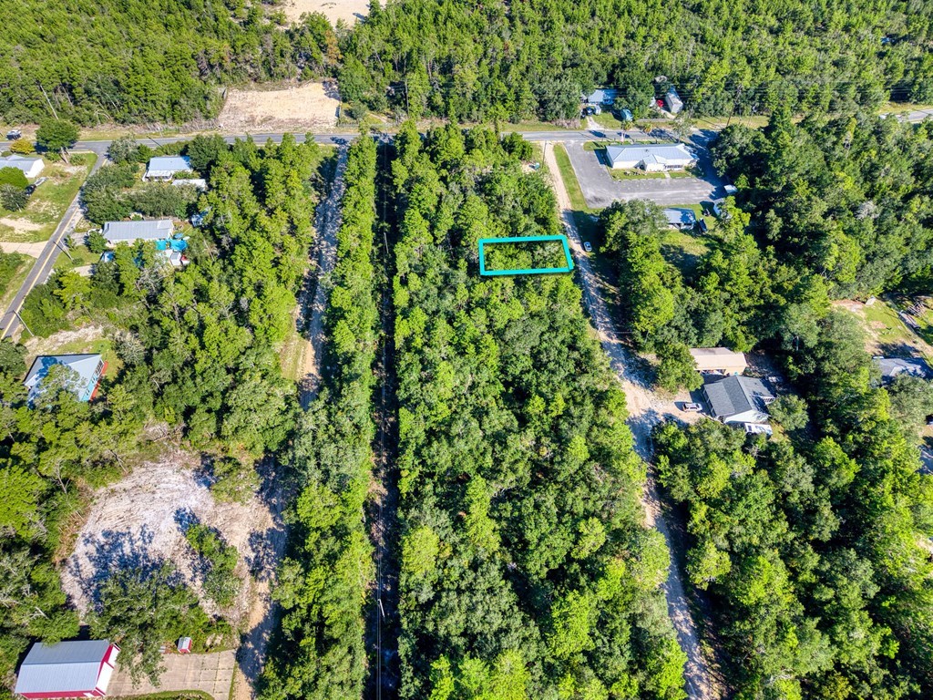 150 Kansas Street Carrabelle, FL 32322 - Photo 3 of 10