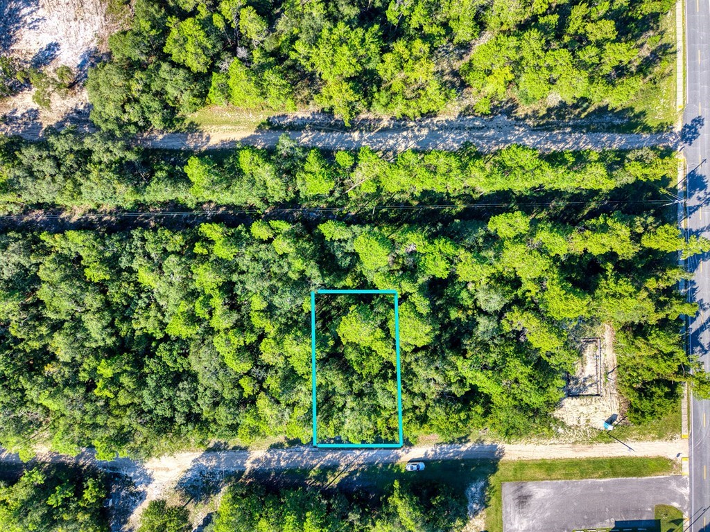 150 Kansas Street Carrabelle, FL 32322 - Photo 4 of 10